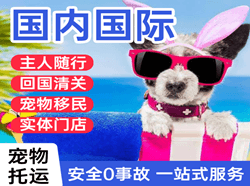 蓬莱航空物流国际宠物托运 【国